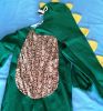 Kids Costumes to Hire - Dinosaur & Headpiece - CHILD